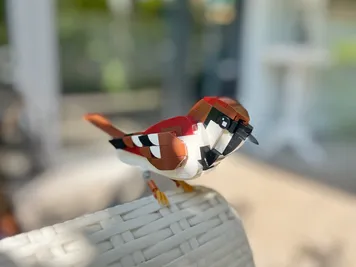 Thumbnail 6 of 6 for Sparrow (Passer italiae) Life size version
