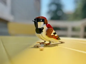 Thumbnail 2 of 6 for Sparrow (Passer italiae) Life size version