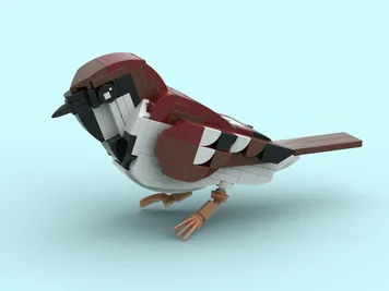 Thumbnail 5 of 6 for Sparrow (Passer italiae) Life size version