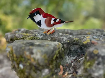 Thumbnail 4 of 6 for Sparrow (Passer italiae) Life size version