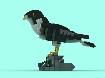 Thumbnail 4 of 7 for Peregrine falcon (Falco peregrinus Tunstall, 1771)