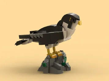 Thumbnail 6 of 7 for Peregrine falcon (Falco peregrinus Tunstall, 1771)