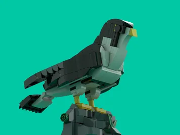 Thumbnail 3 of 7 for Peregrine falcon (Falco peregrinus Tunstall, 1771)