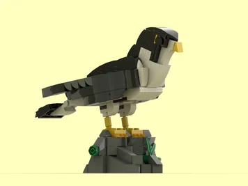 Thumbnail 1 of 7 for Peregrine falcon (Falco peregrinus Tunstall, 1771)