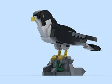 Thumbnail 2 of 7 for Peregrine falcon (Falco peregrinus Tunstall, 1771)