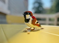 Avatar of bricknfreak